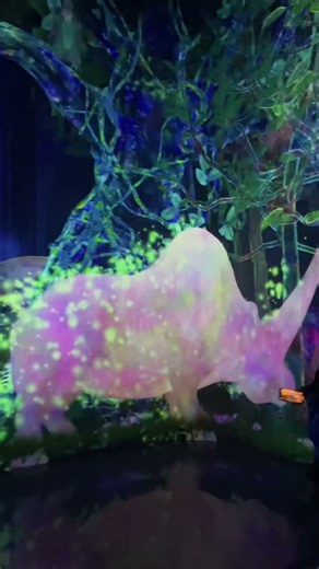 teamLab Planets Tokyo Japan Immersive experience virtual reality futuristic