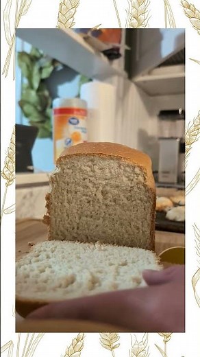 Forgot to Feed Your Sourdough Starter? Bread Machine Save | 1 Hour & 40 Min Homemade Yeast Bread!