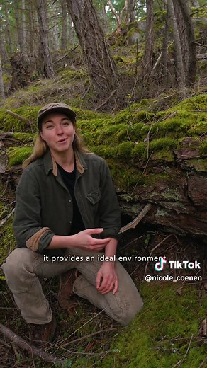 Lessons from Nature: Resiliency and Renewal Explored