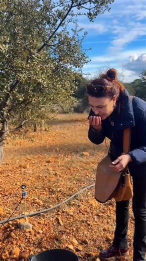 TRUFFAL on Instagram: "Despierta tus cinco sentidos con nuestra trufa y el trufiturismo. 😍 Huele la tierra húmeda, escucha el silencio del campo, observa a los perros en acción, toca el origen y saborea uno de los productos más exclusivos del mundo. ¡Acompañanos! Reserva ahora tu escapada de trufiturismo"