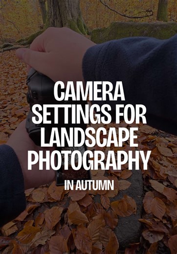 photographers! here’s 2 more photography tips camera settings i used to take this photo! 1. look how low down i am and the angle im taking the photo at - stop shooting photos at eye level, look for different angles. 2. i’ve used foreground and the angle to direct your eyes to the trees. i’ve edited the photo to darken the foreground, making you look at the centre of the photo instead. try using foreground in front of your subject as it creates a more engaging photo. #photographer #photography #c