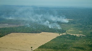 NASA Scientific Visualization Studio | Tracking Amazon Deforestation