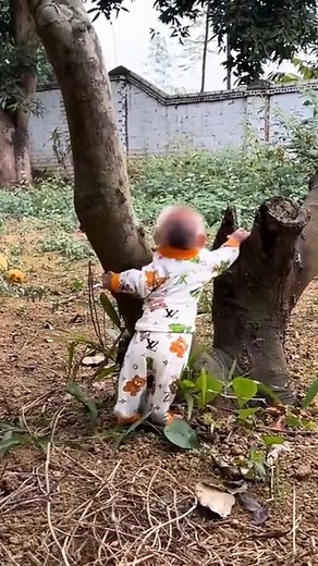 Hello everyone! 🍊 Sneaky little Lala escapes to the neighbor’s house to secretly enjoy some fresh oranges… and even picks a few for Mom! 😆 | Bibi Jumps