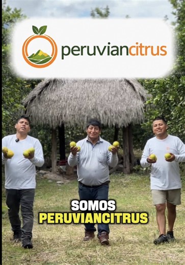 Naranja peruana Valencia: exportaciones desde PERUVIANCITRUS S.A.C.