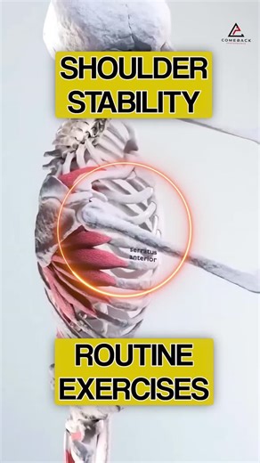 Dr. Joey Seyforth PT, DPT, ATC, CSCS on Instagram: "💥 POV: You train true shoulder stability, and suddenly every press feels controlled and powerful. Shoulder pain isn’t always about tightness or overuse. Often, the deeper issue is instability — your cuff and scapula just aren’t syncing under load. These 4 drills reflect the moments that flip the switch from painful movement to powerful performance: 1️⃣ Banded Bottom Up Press – Challenges your rotator cuff to stabilize the shoulder while pressi