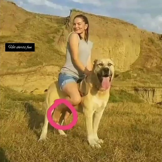 Girl doing dog riding