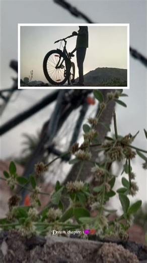 Rider's stunts shorts video//cycle rider