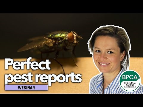 Writing the perfect pest management report