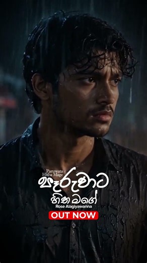 පෑරුවාට හිත මගේ ඔයා 💔 #paruwatahithamage #rosealagiyawanna #sinhalasong #musicvideo #lovesong