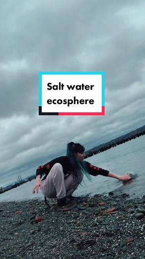 Exploring the Saltwater Ecosystem in a Jar