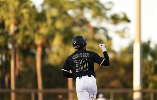 Baseball team takes down Columbia in spring break win