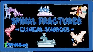 Spinal fractures: Video & Meaning | Osmosis