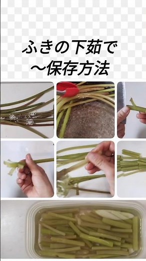 ふきの下茹で〜保存方法 たけのことふきの煮物のレシピは関連動画で。