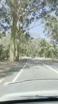 The best Christopher Cross song - Arthur's Theme (Best That You Can Do). Finishing off this drive.