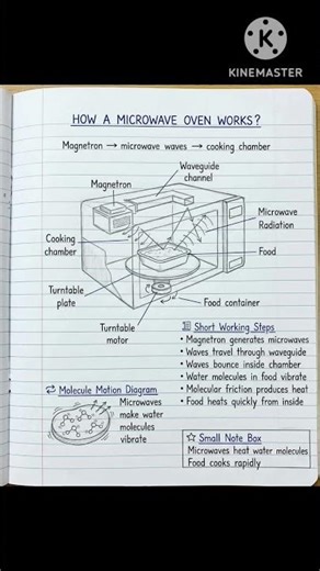 🍲 The Science of Microwave Cooking#MicrowaveOven #KitchenScience #PhysicsInDailyLife