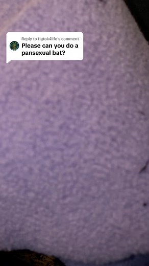 Replying to @figtok4life make a Pansexual bat with me:3 #pansexual #pansexuality #queerownedbusiness #bisexaul #Pride #plushies #Igbtqiaplus #queer #Igbtqiapluscommunity #skyebluez #shopsmall #SmallBusiness #zyxca #smallbusinessowner #queerartist #bat #batplushie #batplush #bi #panpride
