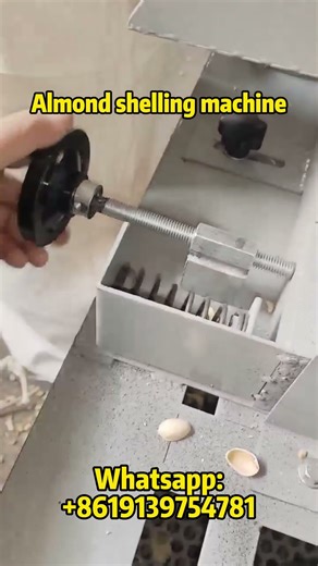 The Fastest Way to Shell 1 Ton of Almonds | Commercial Shelling Machine#almond #shelling