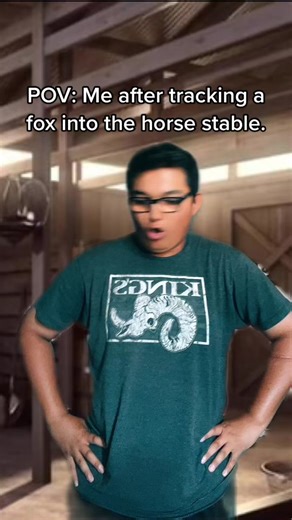 Adorable Fox in the Stable - Funny Furry Meme Video