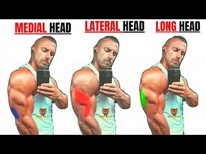 15 BEST TRICEP EXERICES AT GYM