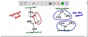 SOLVED:Why are hydrogen bonds and van der Waals interactions necessary for cells?