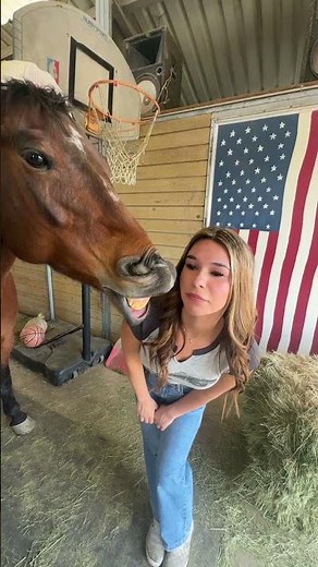 My horsey loves me #blowup #horses #fypシ #baileyandmarley #ilovemyhorse