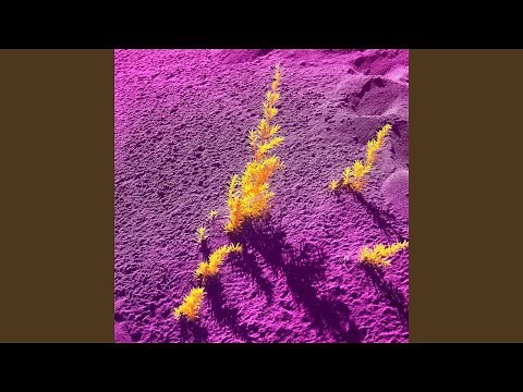 Infected (Slowed+Reverb)