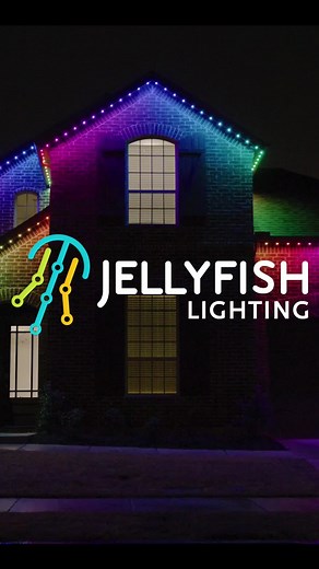 JellyFish Lighting on TikTok