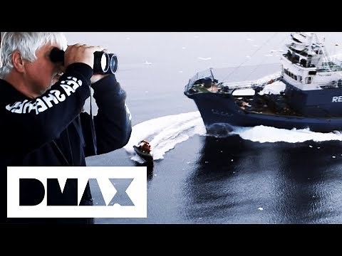 Sea Shepherds Engage With Whaling Ships! | Whale Wars