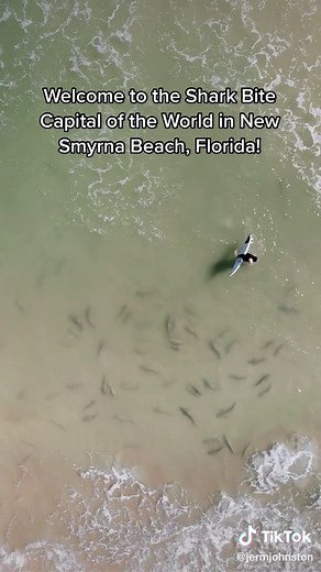 Discover the Shark Bite Capital of the World