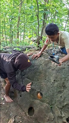 Animal rescue in a rock hole #shortsviral