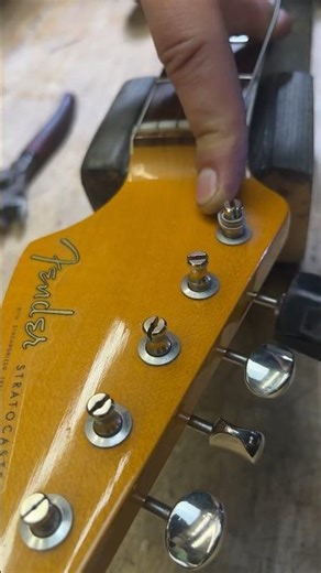 Fender American Stratocaster EJ Setup