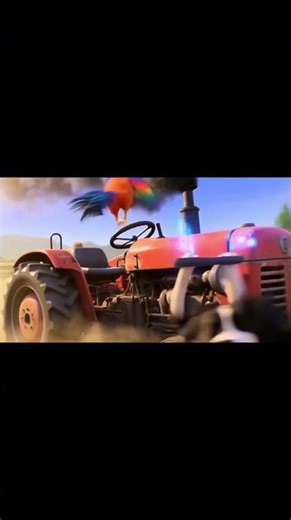 Animal duels on the farm