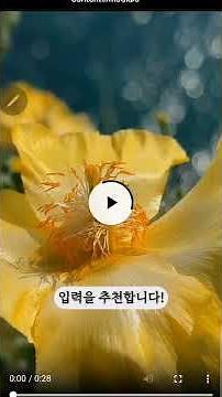 저작권/걱정없는/무료영상/픽사베이/펙셀스 가이드영상 #쇼츠