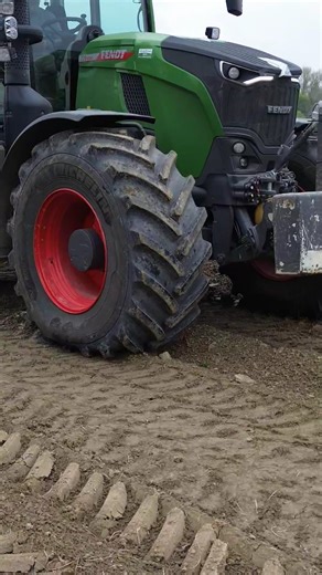 Fendt imants + maschio