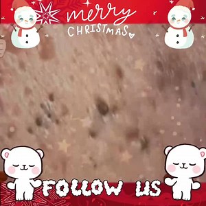 38K views · 381 reactions | Woo ! Great Work ❤️❤️❤️ | Fun and Technology | Facebook