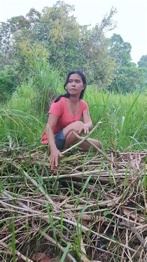 Caught a rare bird in the rice fields that almost escaped #birds #animals #amazing #wildlife #nature