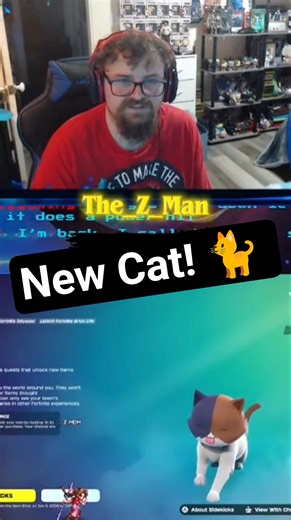 Kit the Cat Now in Fortnite #Fortnite #ItemShop #Cats #TwitchStreamer #NewThings