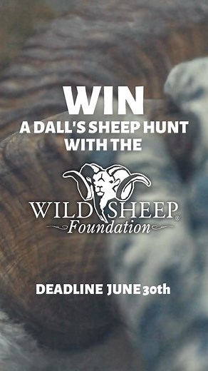 Don’t forget about WSF’s NWT Dall’s sheep hunt giveaway! Simply join WSF for $45, renew or upgrade your membership, and you’re in the drawing. There are also options for extra chances. Deadline approaching! See full details here: https://www.wildsheepfoundation.org/memberships/join-or-renew #wsf #wildsheepfoundation #dallssheep #dallssheephunting #dreamhunt #northwestterritories | Wild Sheep Foundation