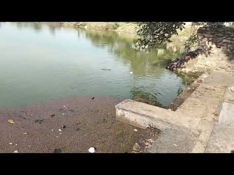 The Impact of Littering: Let's Keep Our Environment Clean! 😔