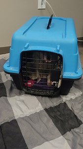 175K views · 4K reactions | Another dog abandoned. Left in this crate...