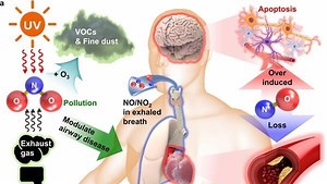 Biyolojik olarak bozunabilir gaz sensörü geliştirildi