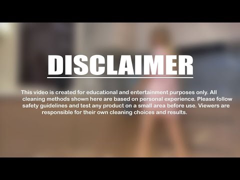 Transparent Cleaning With Rose Mevan Aesthetic, Slow & Satisfying