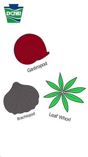 Geology Coloring Sheets