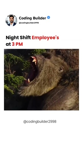 Night Shift Employees 😆 #nightshift #employee #goodmorning #coderlife #python #memes #funny #foryou
