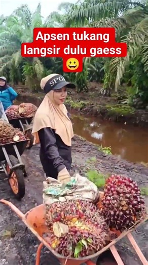 apsen tukang langsir gaess #sawit #palm #galerisawit #short #shorts #shortvideo #trending