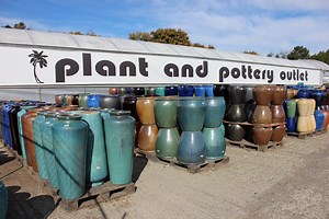 Indoor Plants | Plant and Pottery Outlet  | Sunol CA