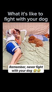 46K views · 1.5K reactions | Puppy Prank Backfires 藍藍 Video Credit: https://www.instagram.com/petcaremojo/ #Dogexpress #Celebratingdoglove #Doglovers #Dogowners #lovemydog #doglove #doglife #dog #puppy #pet #animals #cute #doglover #explore #instadaily #reels #love #trending #photography #nature #viral #bichon #retriever #labrador #life #lifestyle #dogstagram #dogsofinstagram | DogExpress | Facebook