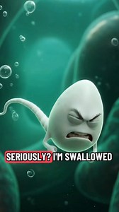 POV: You were created to make life… but end up everywhere except where biology intended 😭🧬 This episode may be funny, but the science is real — sperm can only survive and function in very specific conditions inside the body. Outside of that? Confusion, chaos, and zero chance of life. Education doesn’t always have to be boring 😉 #DidYouKnow #ScienceButFunny #BiologyFacts #HumanBody #EducationalReels #FunnyEducation #Anatomy101 #LearnSomethingNew #POVScience | Amara Tips