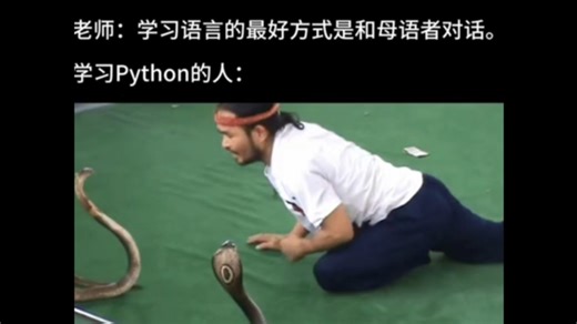 沙雕梗图｜学习python的人be like