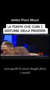 385K views · 3.5K reactions | EPILOBIO PARVIFLORUM: la pianta che cura i disturbi della Prostata. #prostata #epilobio #prostatite #ipertrofiaprostatica | Rimedi di Sofia | Facebook